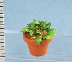 Potted Green Plant 1/2" Scale