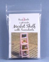 Market Shelf With Succulents