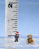 Barbara Meyer Small Sock Monkey