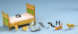 Barbara Meyer Cat H