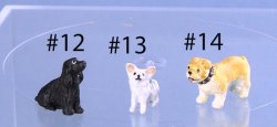 Barbara Meyer Dog #12