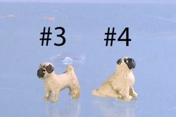 Barbara Meyer Dog #3