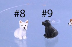 Barbara Meyer Dog #9